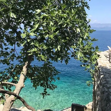 Seafront Vacation 
