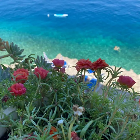 別荘 Seafront Vacation 