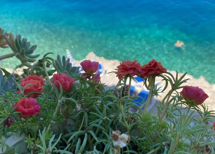 بيت للعطل Seafront Vacation 